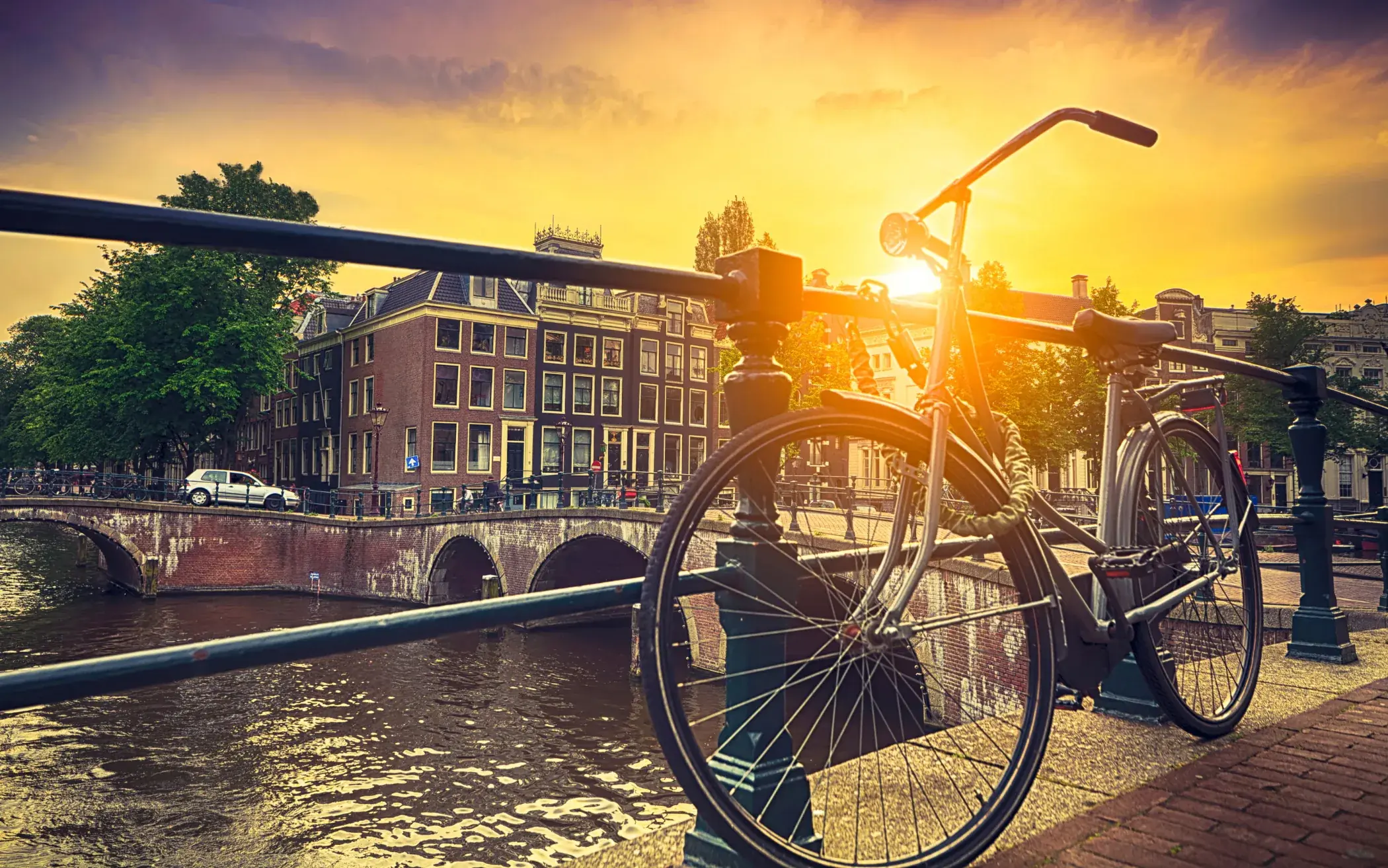 Kingsday Amsterdam escort guide